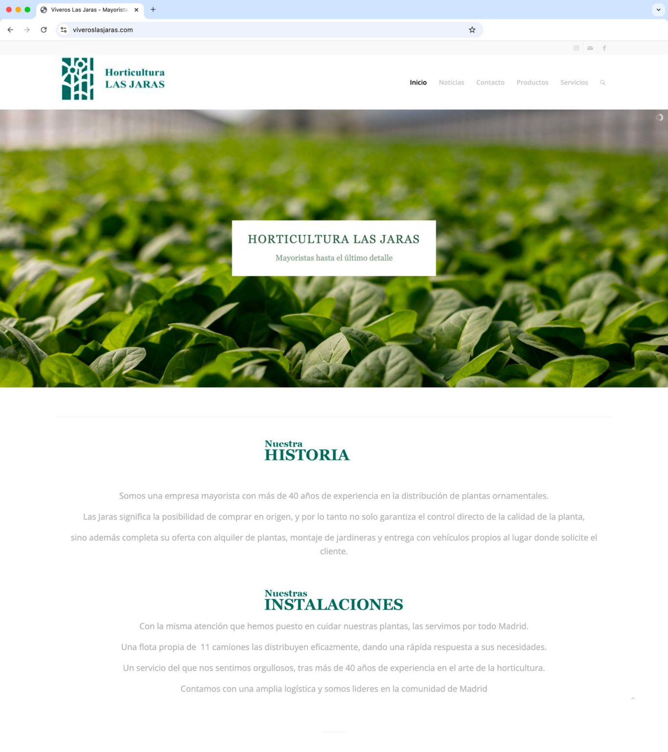 diseño de web